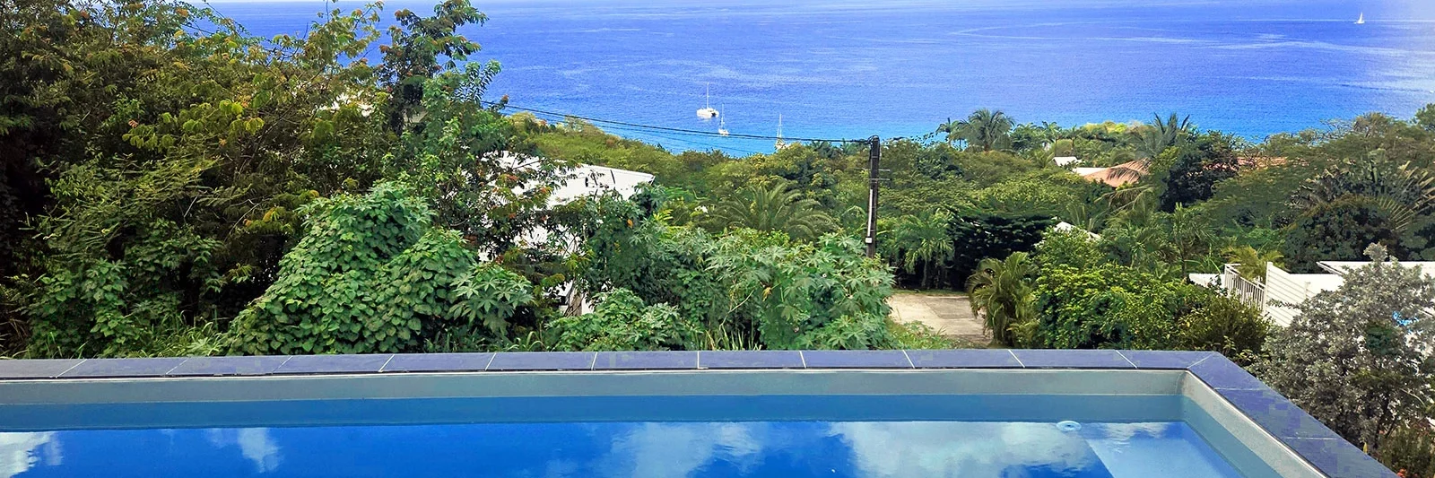 Piscine de la villa en Guadeloupe