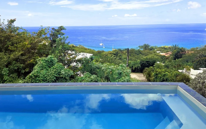Piscine de la villa en Guadeloupe