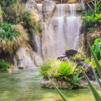 Jardin botanique Deshaies en Guadeloupe