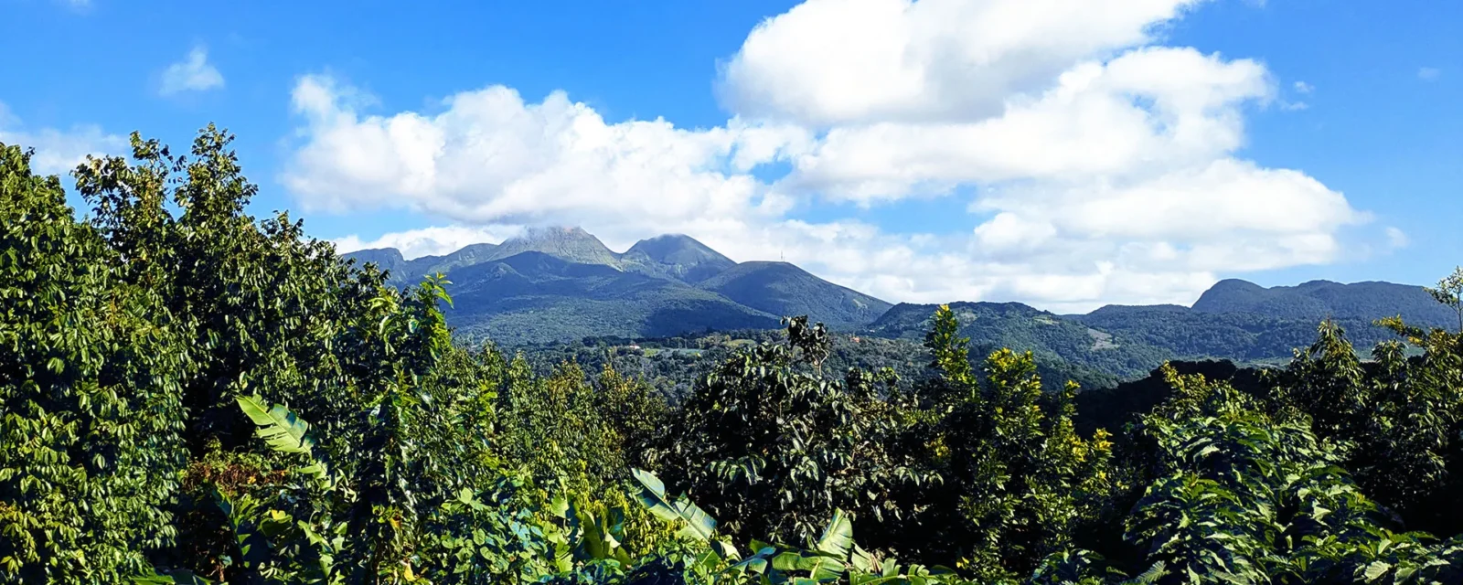 Paysage en Guadeloupe
